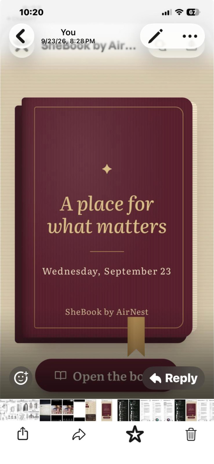 SHEBOOK book cover — A place for what matters